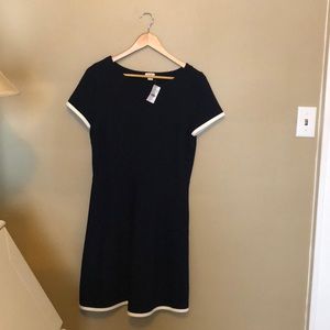 J crew dress